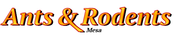Mesa Ant Exterminator & Rodent Control Company Logo
